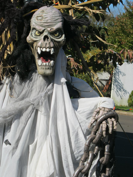 Fall and Arizona 055