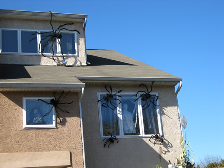 Fall and Arizona 060