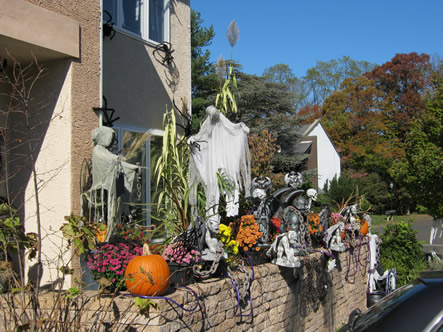 Fall and Arizona 064