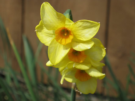 March - May 2012 006