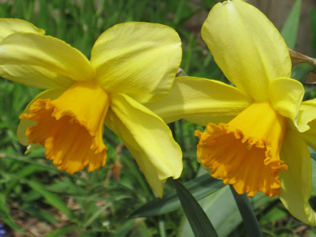 March - May 2012 008