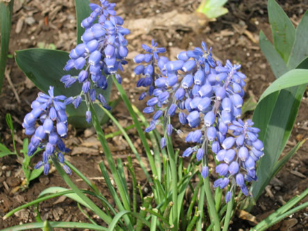 March - May 2012 010