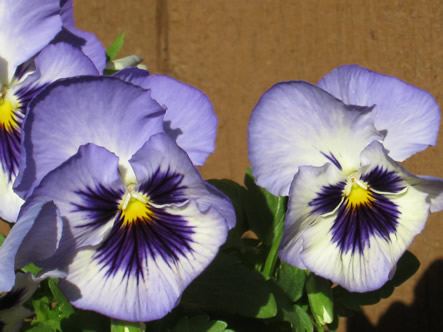 March - May 2012 039