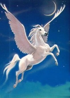 pegasus_sky_3493