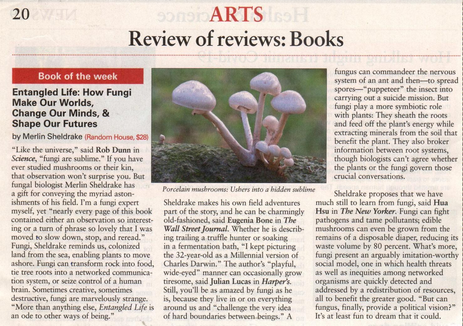 fungi article
