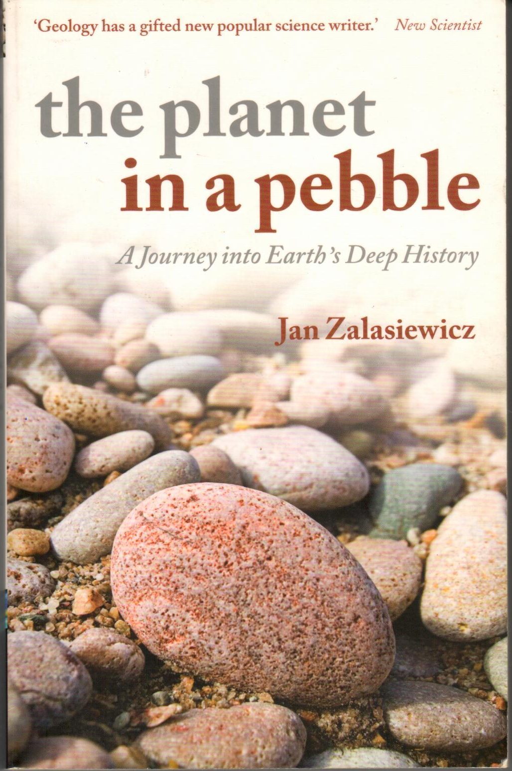 the planet in a pebble