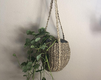 collecting plants (2)