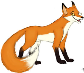 aesop fox
