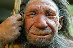 homo_neanderthalensis_2