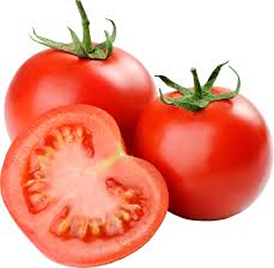 tomatoes