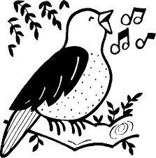 bird-lullaby