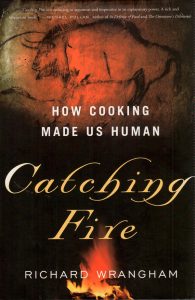 catching fire-1