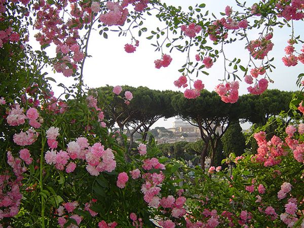 persian rose garden