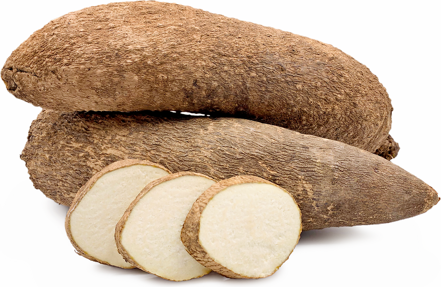 west african yam