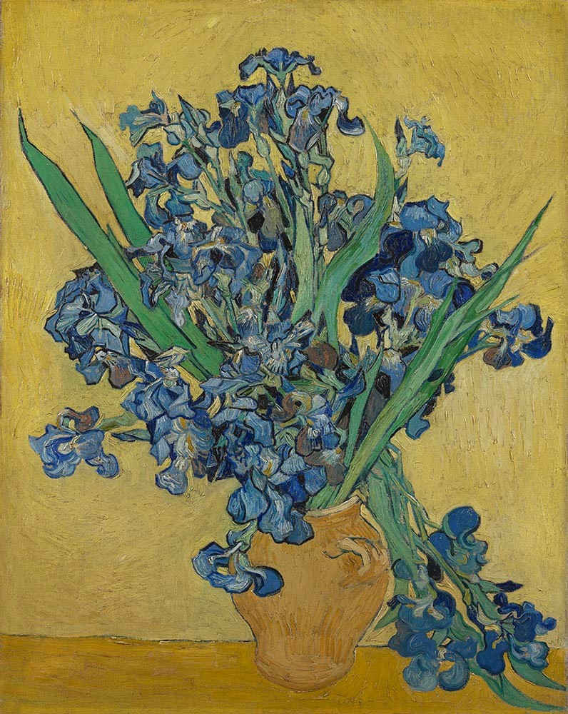 van-gogh---irises-van-gogh-museum.10082613753953305911