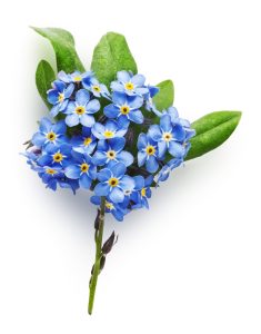 bouquet blue