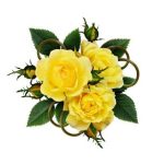 320-673066382-yellow-rose-flowers-arrangement