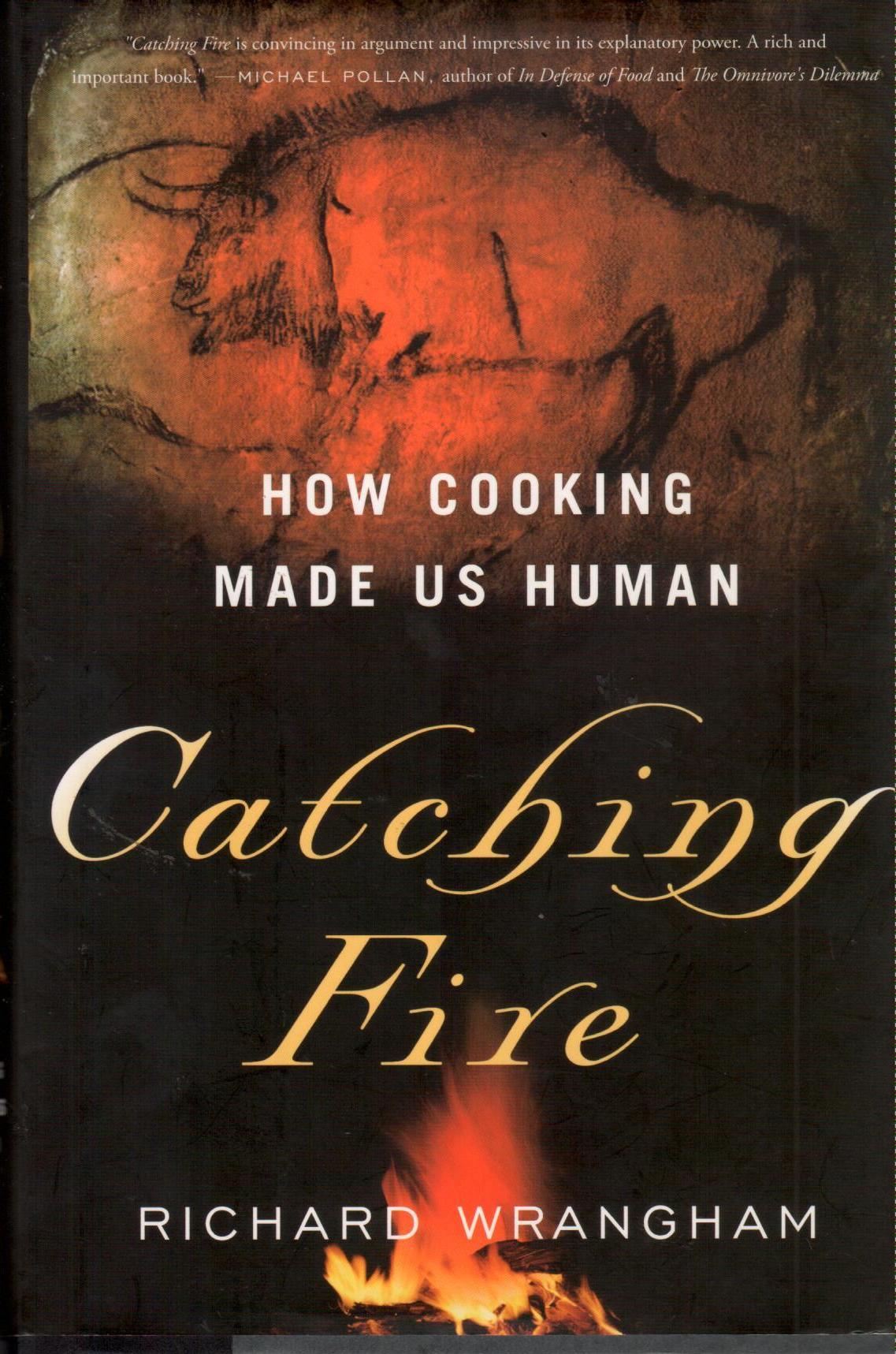 catching fire (1)