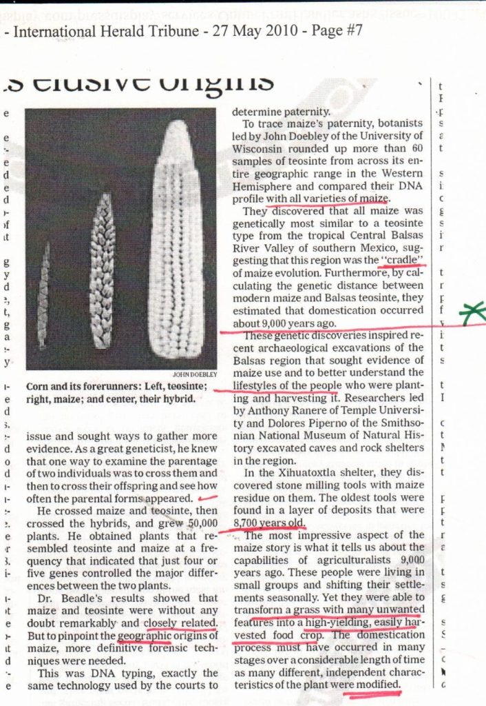 maize origins three