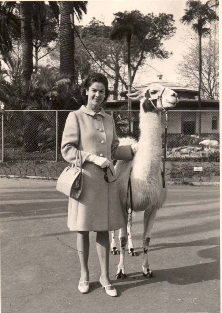 rome zoo 1967