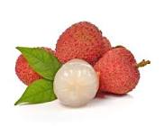 litchi