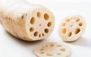 lotus root