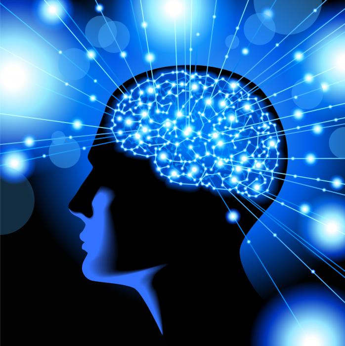 human brain two human brain two