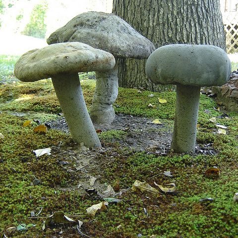 stone_henge_mushrooms